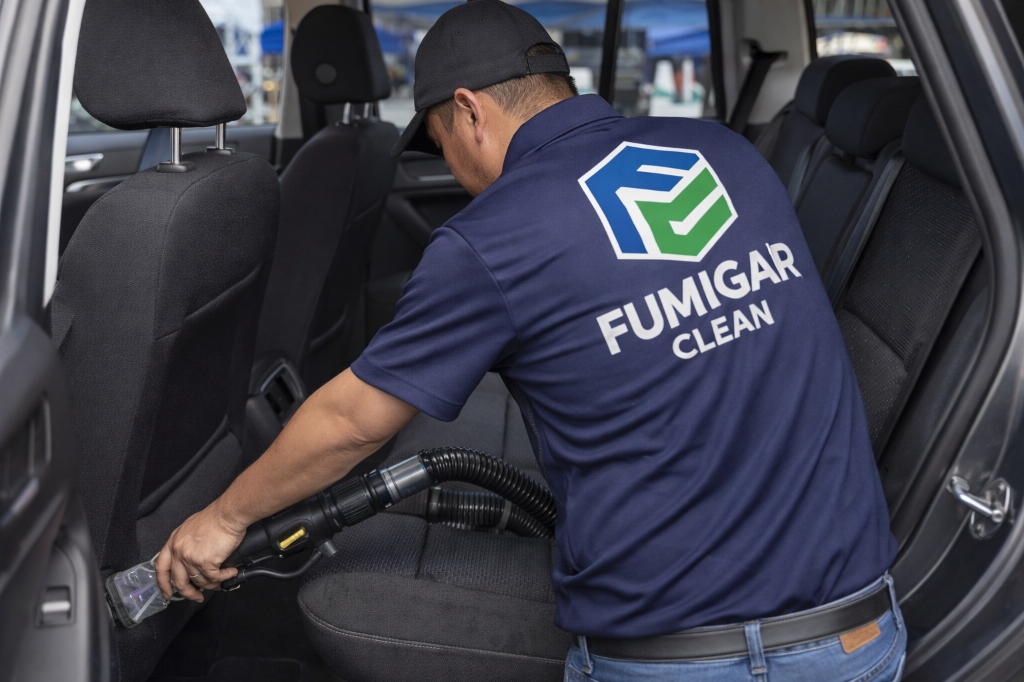 Lavado de vestiduras de auto